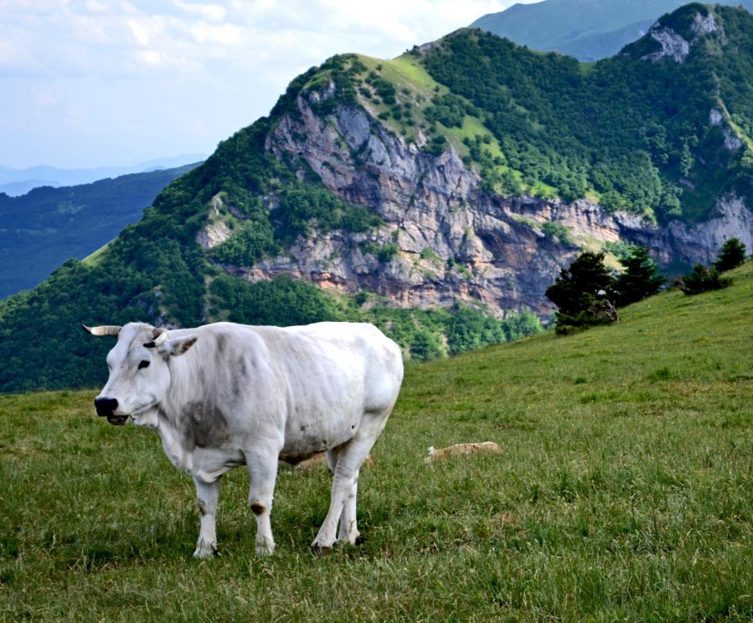 Farm stay Locanda Della Rocca Sarnano